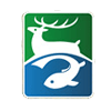 Fishing and Hunting