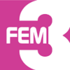 FEM 3